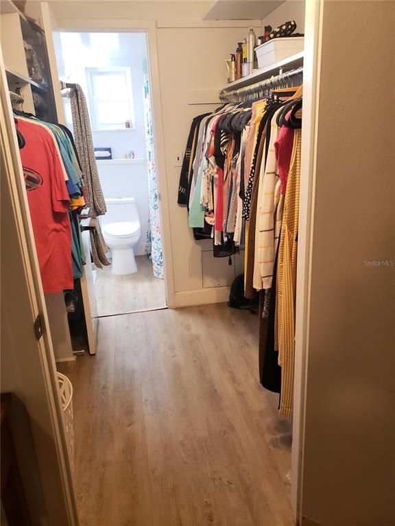 Bathroom, Interior, Walk-in Closets, Wood Texture Flooring