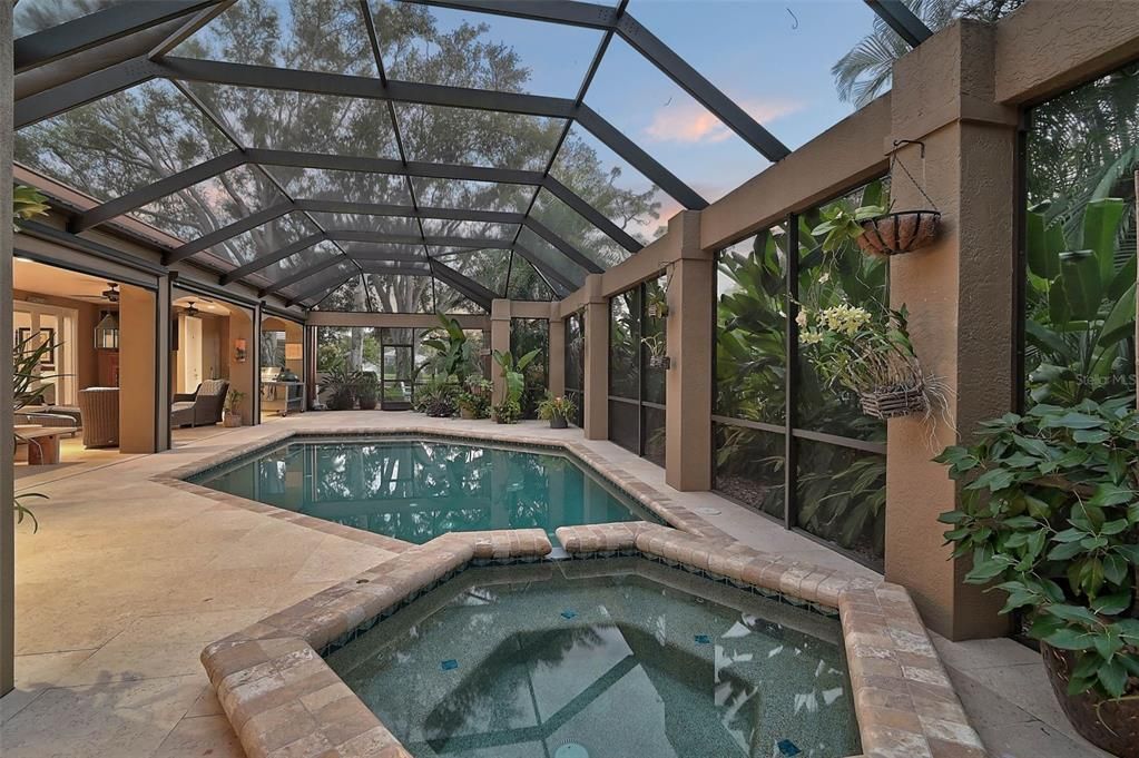 Glass Ceilings, Interior, Pool, Sun Room