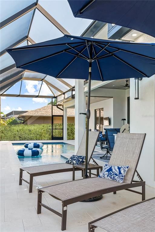 Glass Ceilings, Interior, Pool, Sun Room