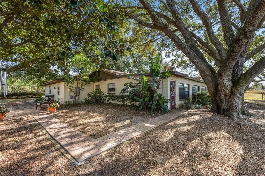Backyard, Exterior