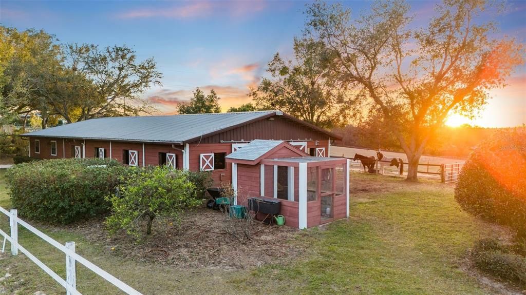 Backyard, Exterior