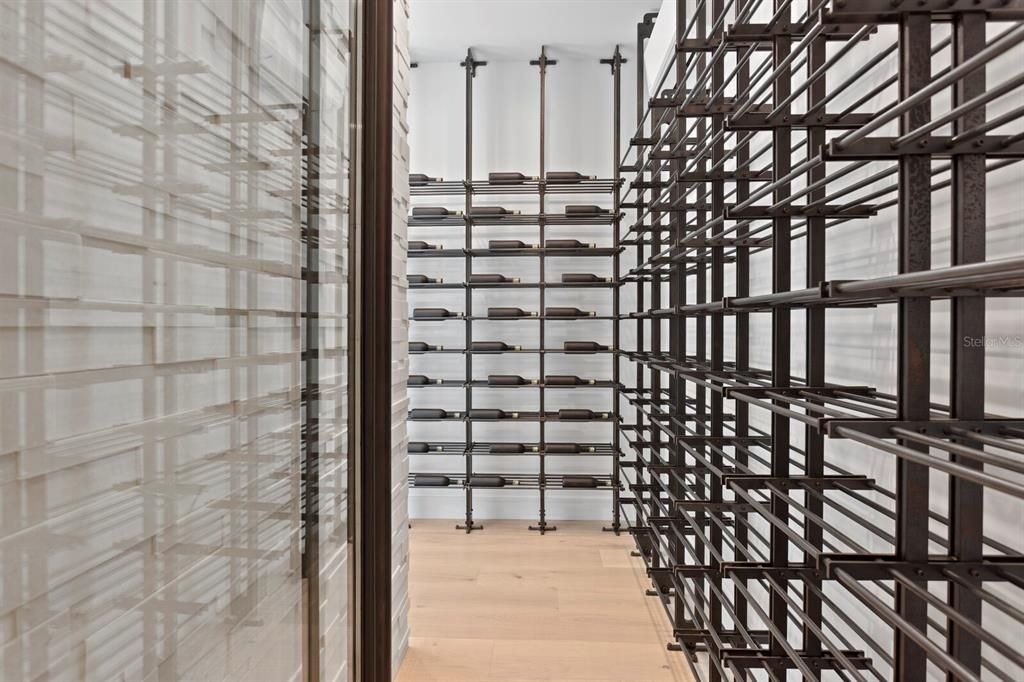 Interior, Wine Storage, Wood Texture Flooring