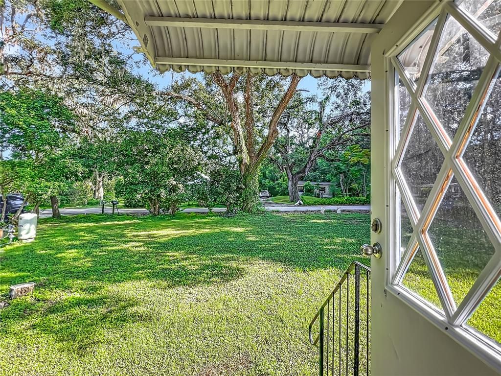 Backyard, Exterior