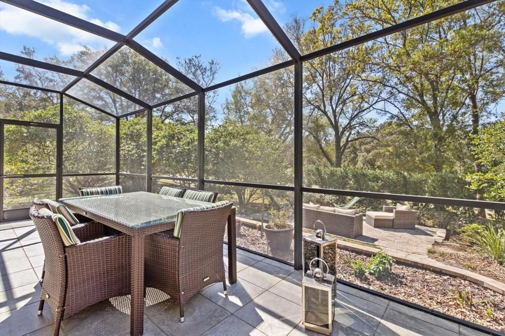 Glass Ceilings, Interior, Sun Room