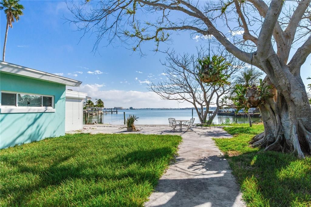 Backyard, Exterior, Water