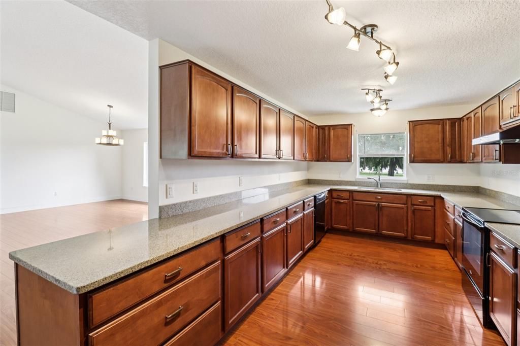 Chandelier, Interior, Kitchen, Wood Texture Flooring