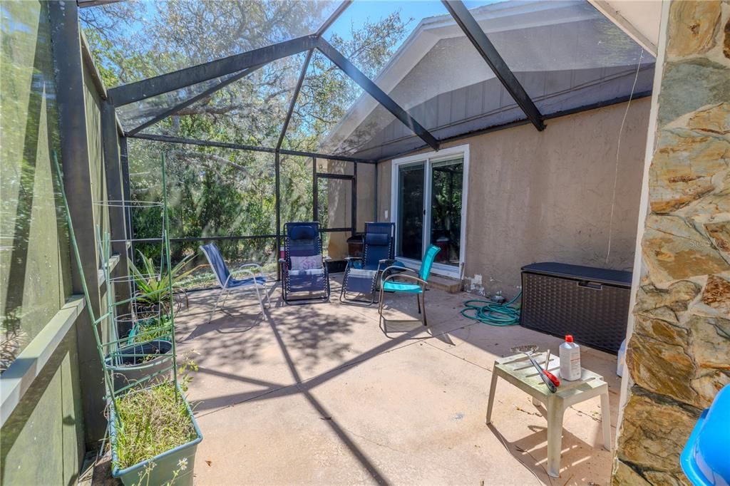 Glass Ceilings, Interior, Sun Room