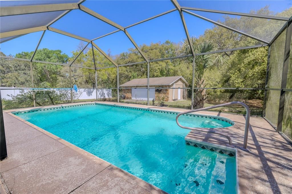 Glass Ceilings, Interior, Pool, Sun Room