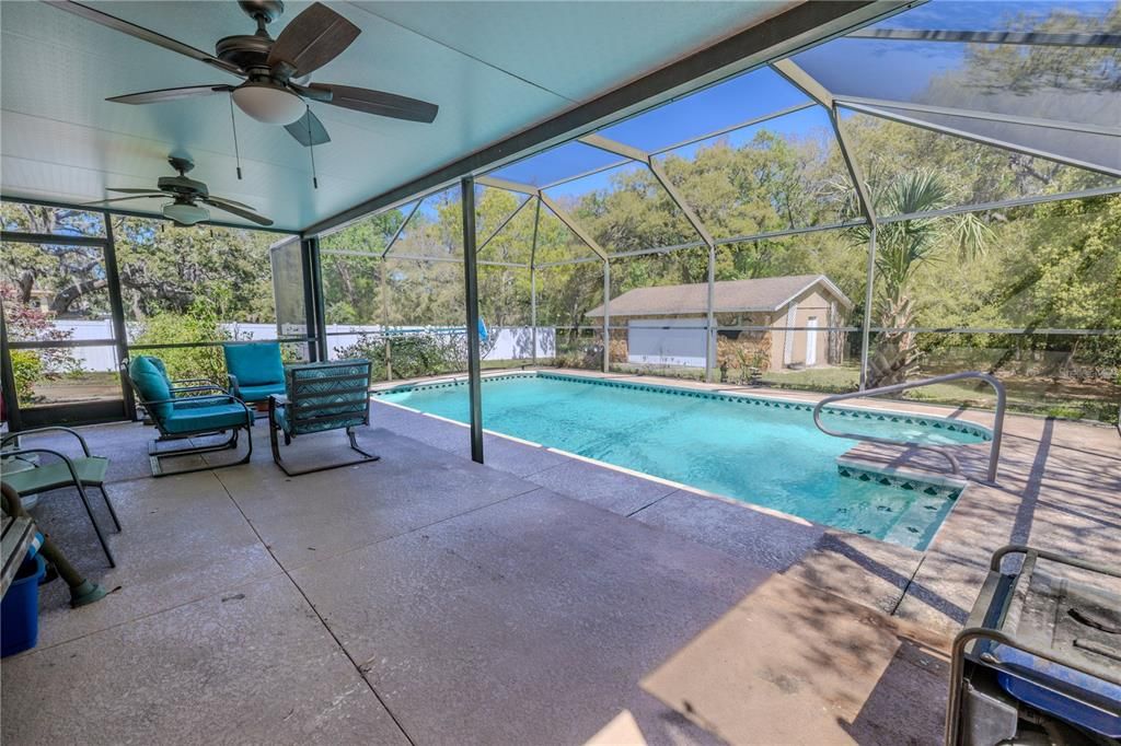 Glass Ceilings, Interior, Pool, Sun Room