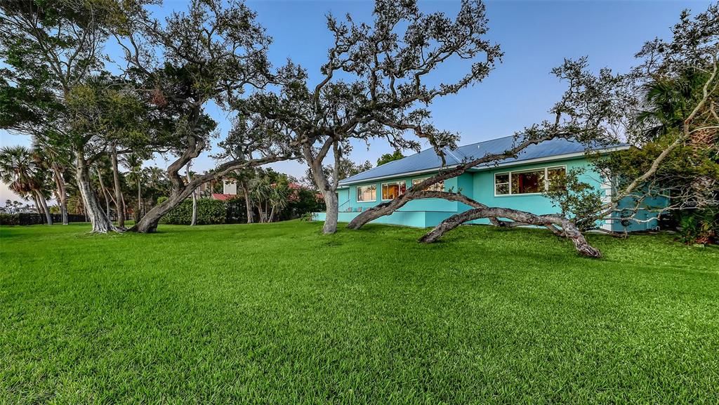 Backyard, Exterior, Solar Panels