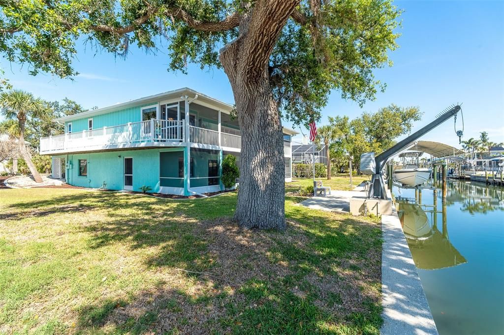 Backyard, Exterior, Water