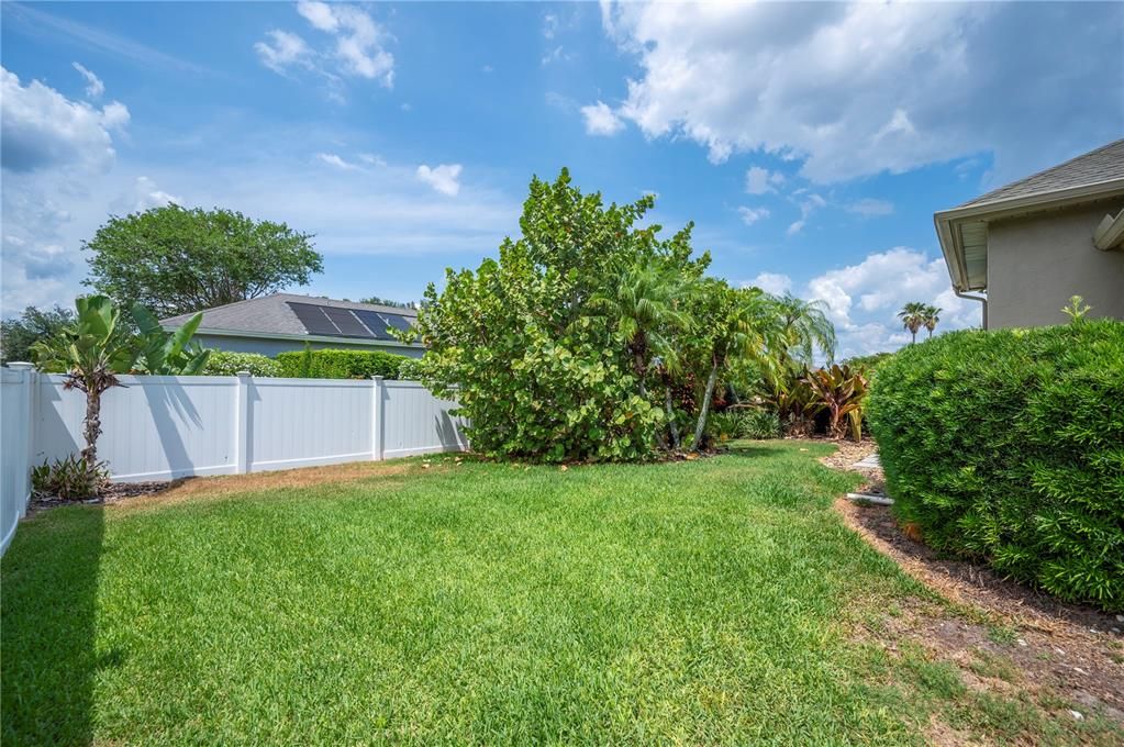 Backyard, Exterior, Solar Panels