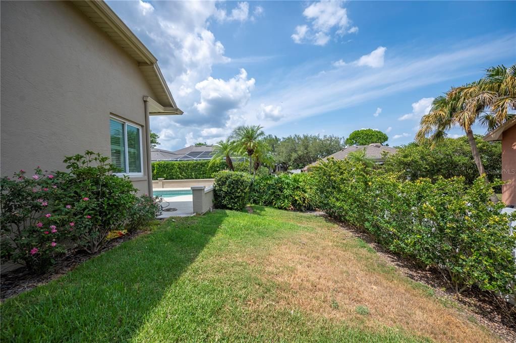 Backyard, Exterior, Hot Tub