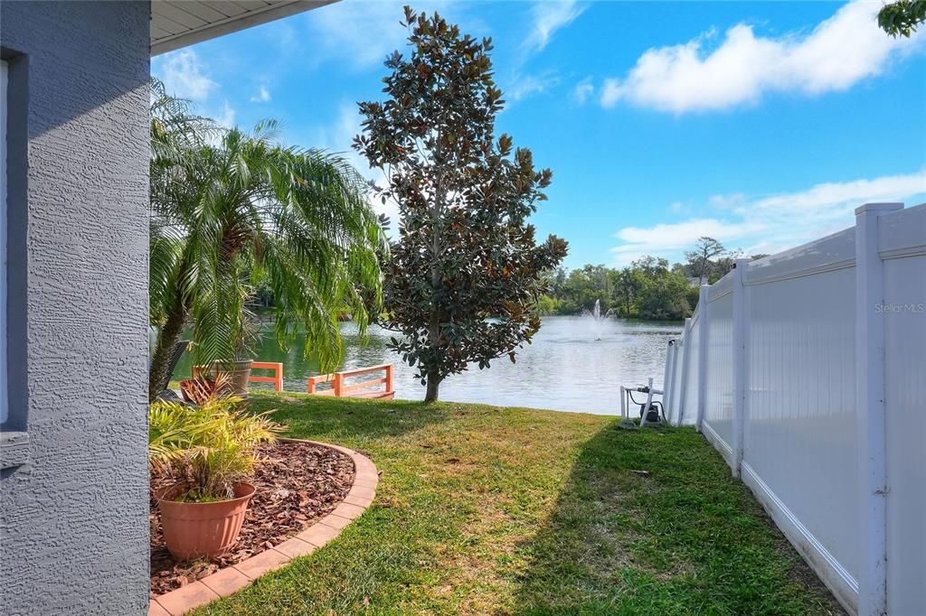 Backyard, Exterior, Water