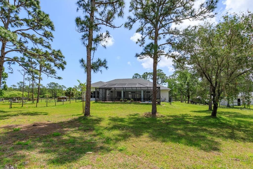 Backyard, Exterior