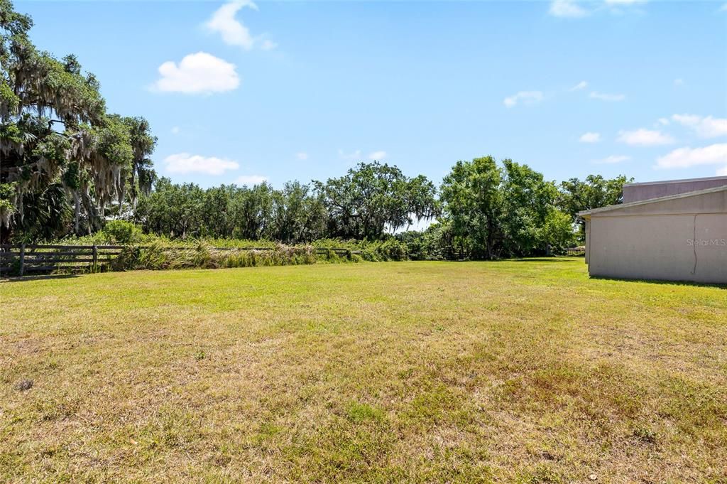 Backyard, Exterior