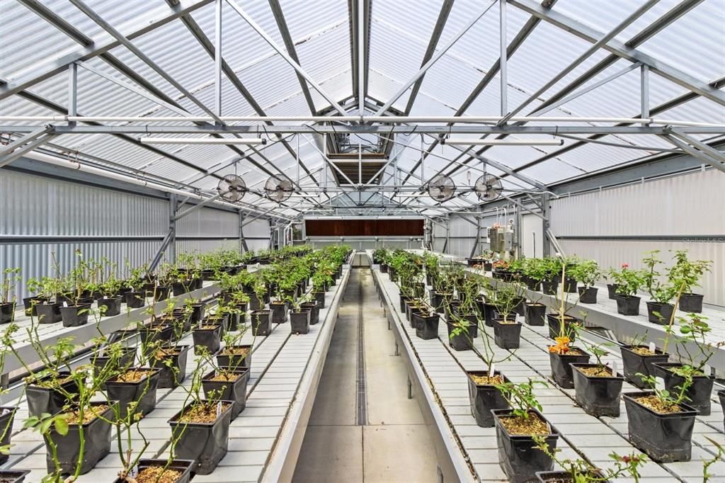 Glass Ceilings, Interior, Sun Room