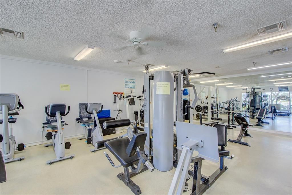 Fitness Equipment, Gym, Interior, Recessed Lighting