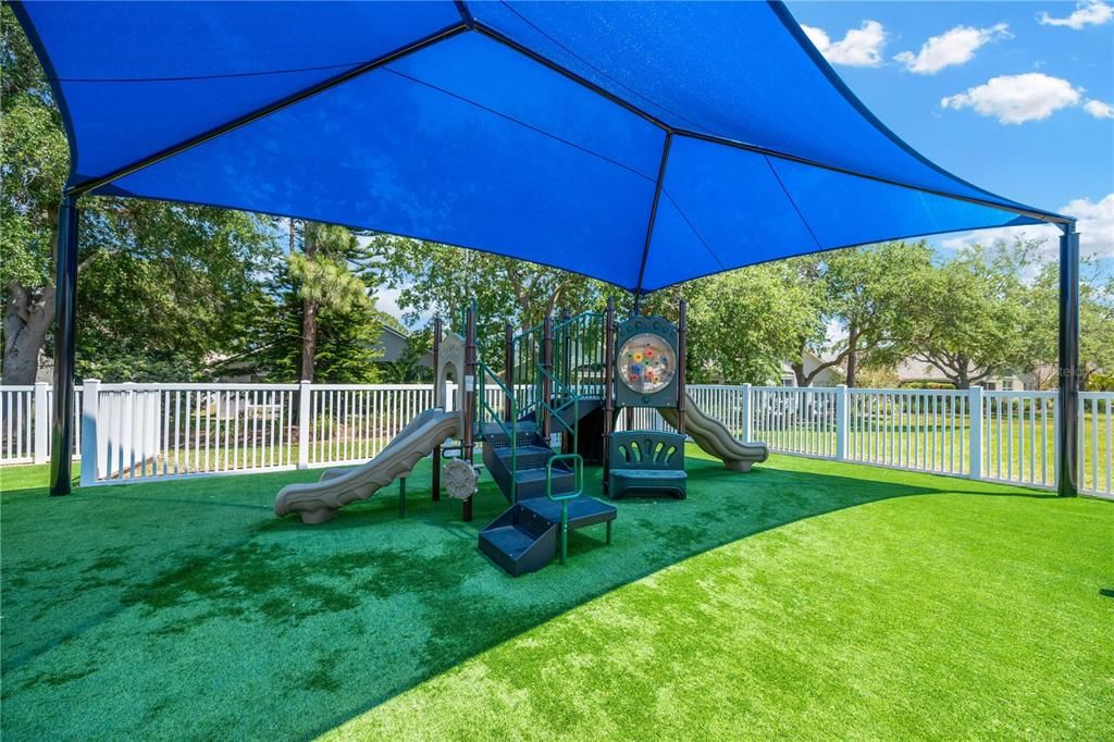 Backyard, Exterior, Playground