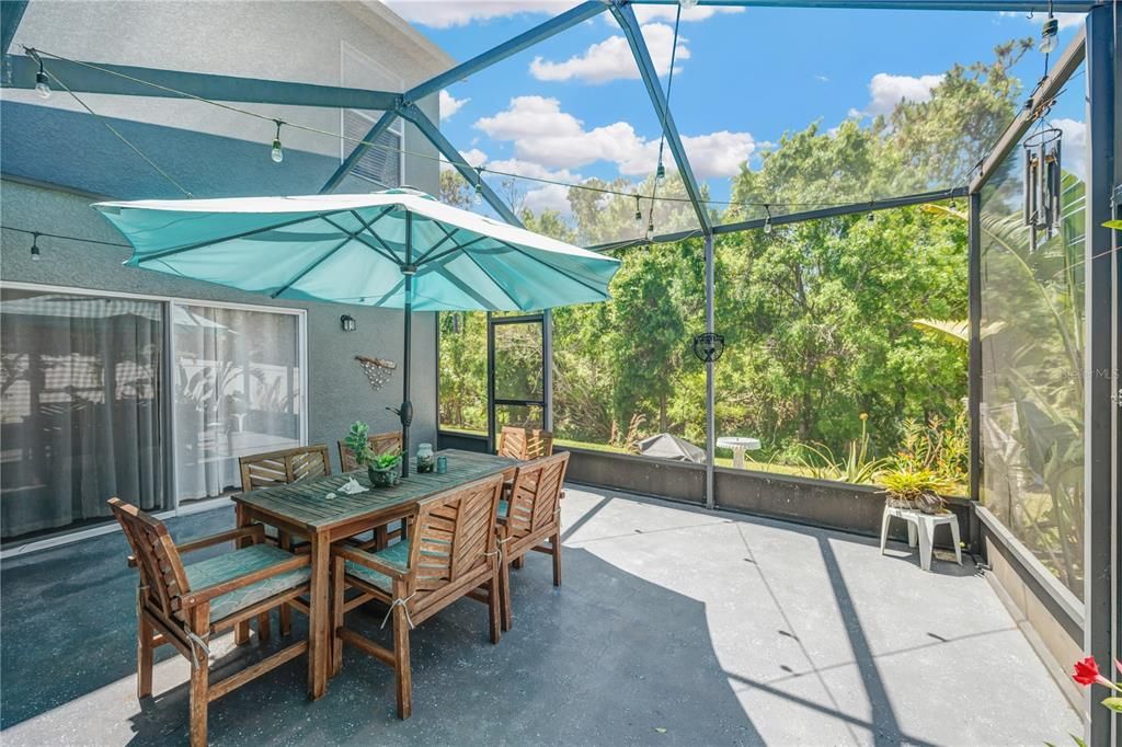 Glass Ceilings, Interior, Sun Room
