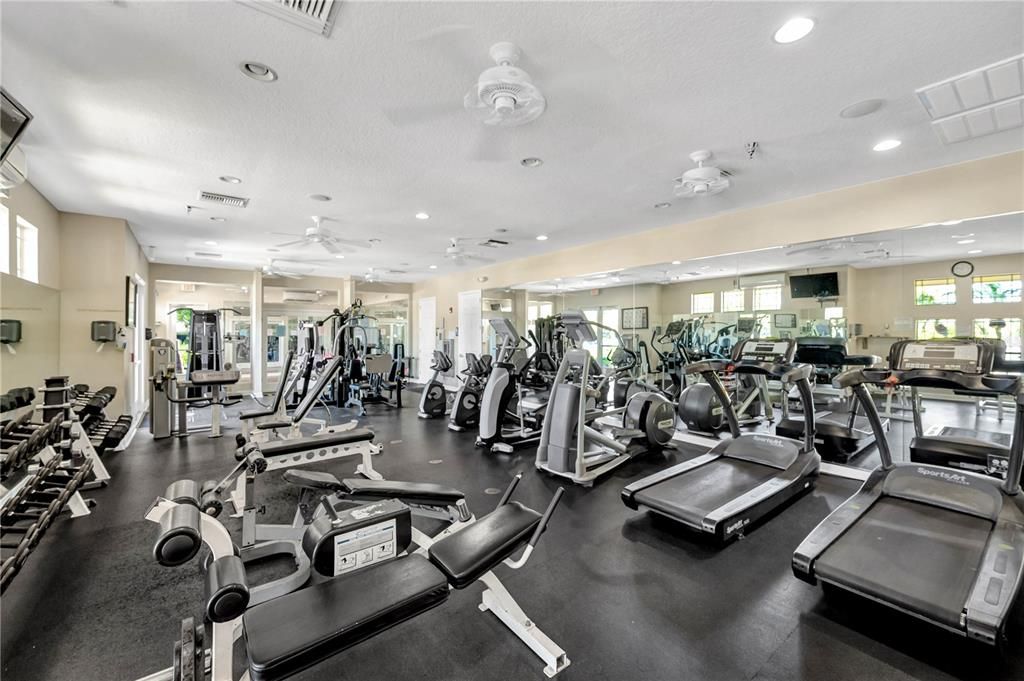 Fitness Equipment, Gym, Interior, Recessed Lighting