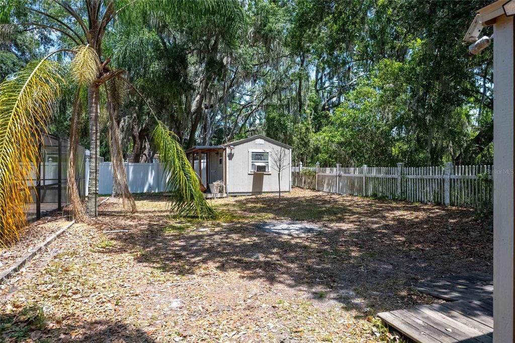 Backyard, Exterior