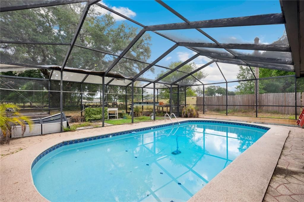 Glass Ceilings, Interior, Pool, Sun Room