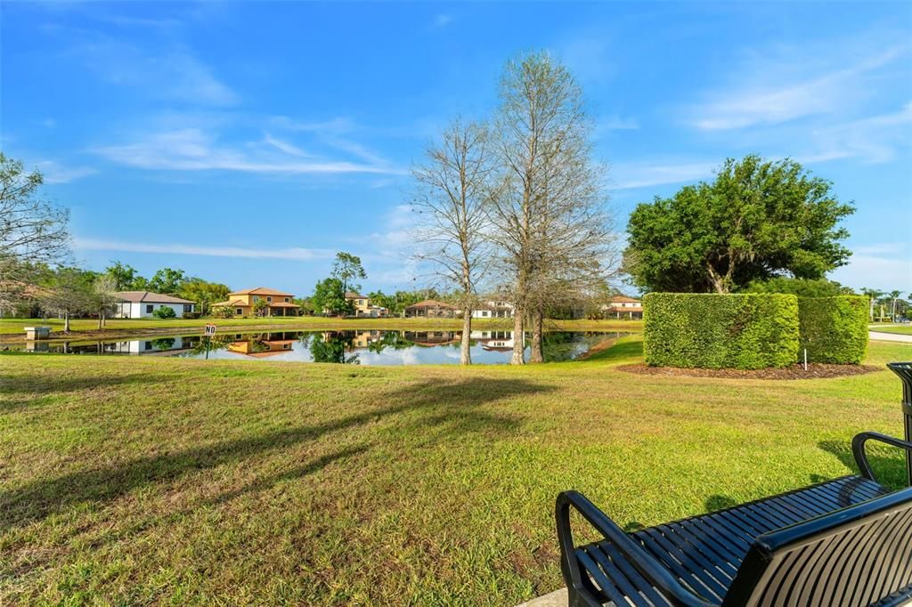 Backyard, Exterior, Water