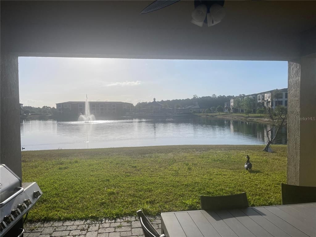 Water, Exterior, Other