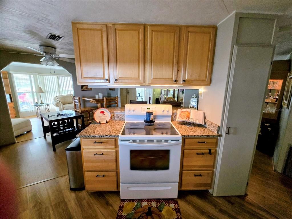 Interior, Kitchen, Wood Texture Flooring