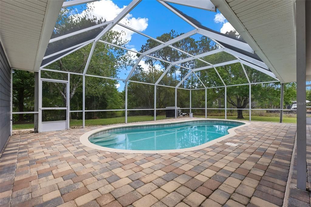 Glass Ceilings, Interior, Pool, Sun Room