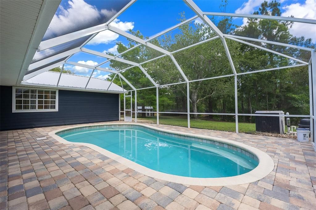 Glass Ceilings, Interior, Pool, Sun Room