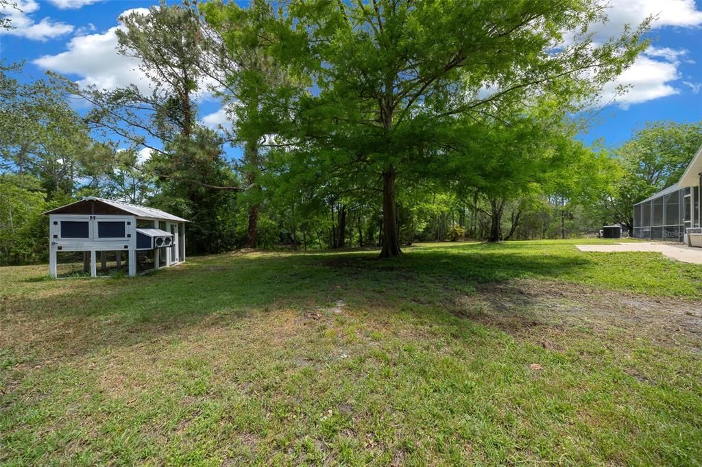 Backyard, Exterior