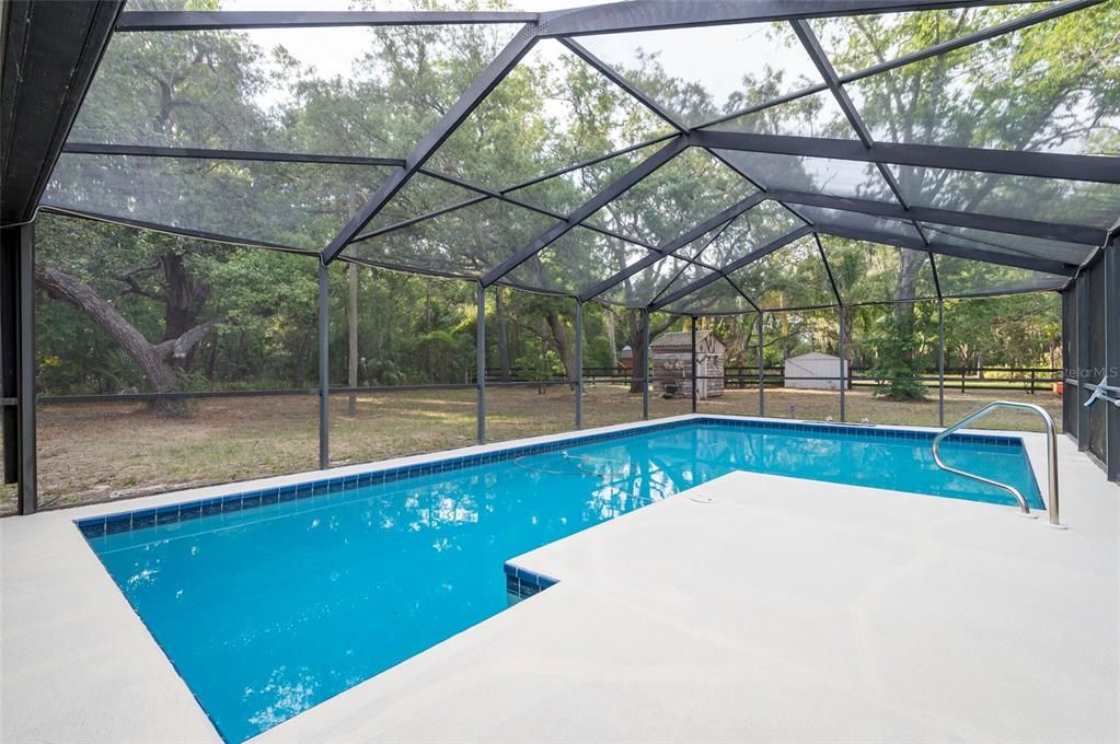 Glass Ceilings, Interior, Pool, Sun Room