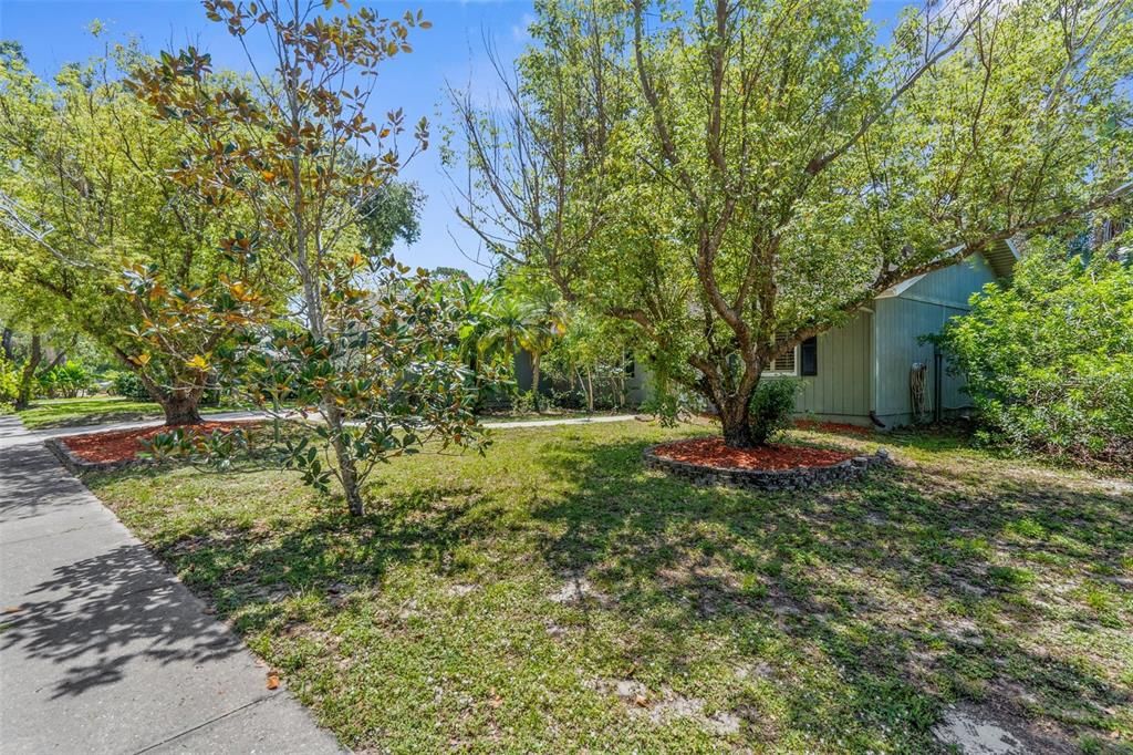 Backyard, Exterior