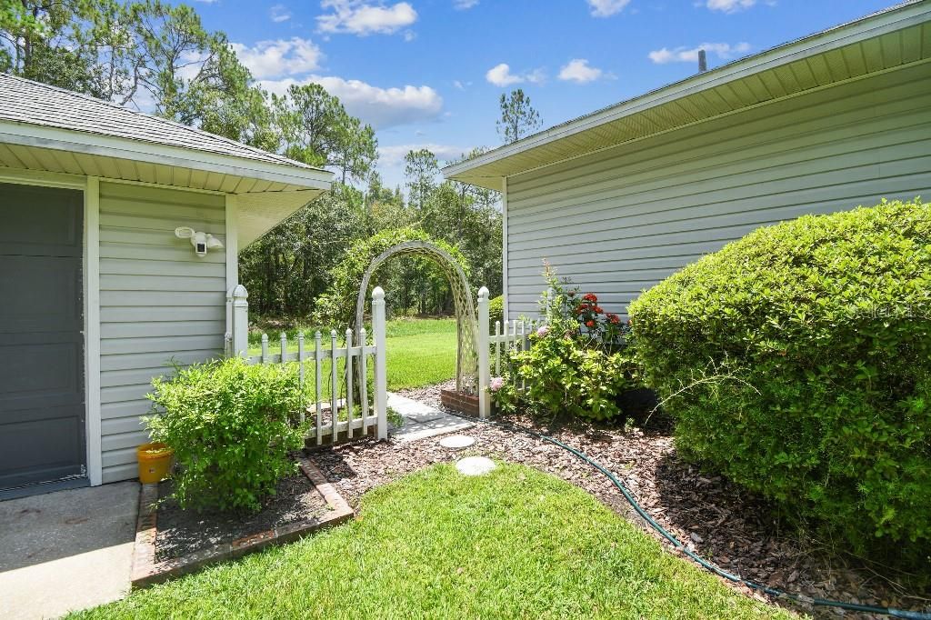 Backyard, Exterior