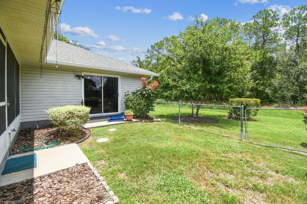 Backyard, Exterior