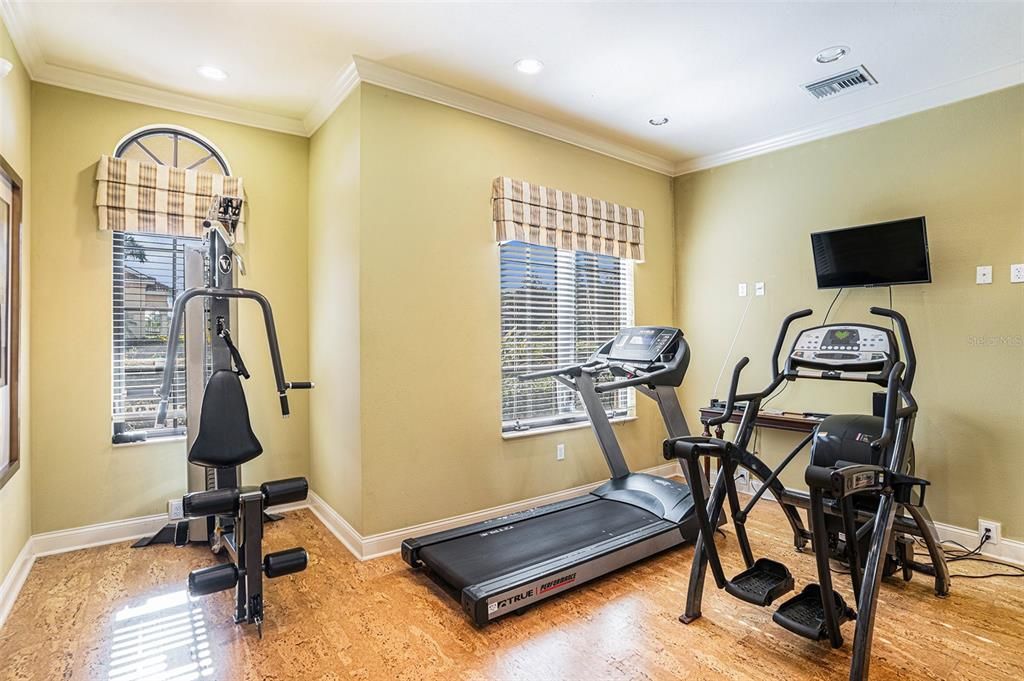 Fitness Equipment, Interior, Recessed Lighting, Wood Texture Flooring