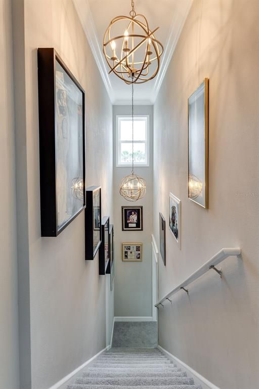 Chandelier, Interior, Pendant Lights