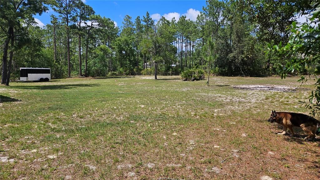 Backyard, Exterior