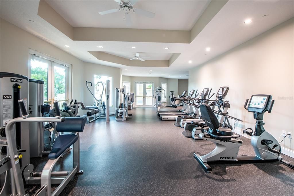 Fitness Equipment, Gym, Interior, Recessed Lighting
