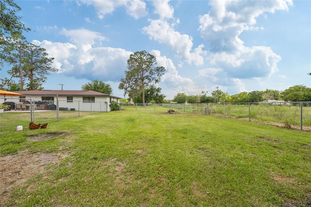 Backyard, Exterior