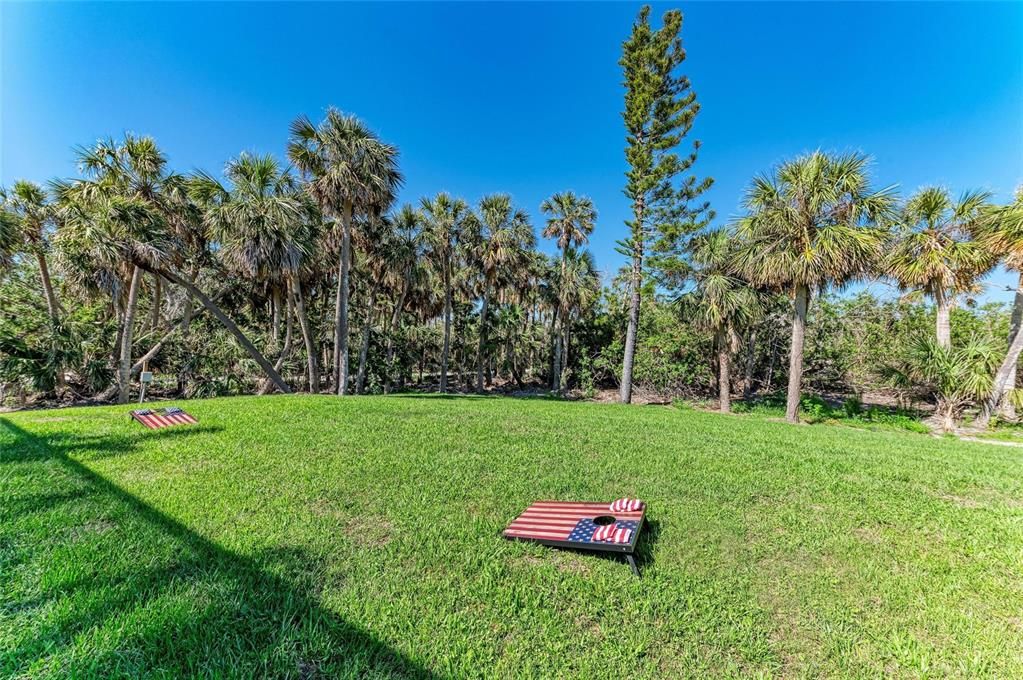 Backyard, Exterior