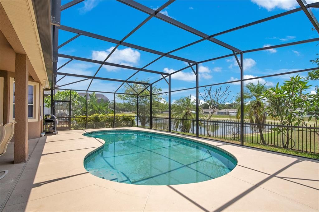 Glass Ceilings, Interior, Pool, Sun Room, Water