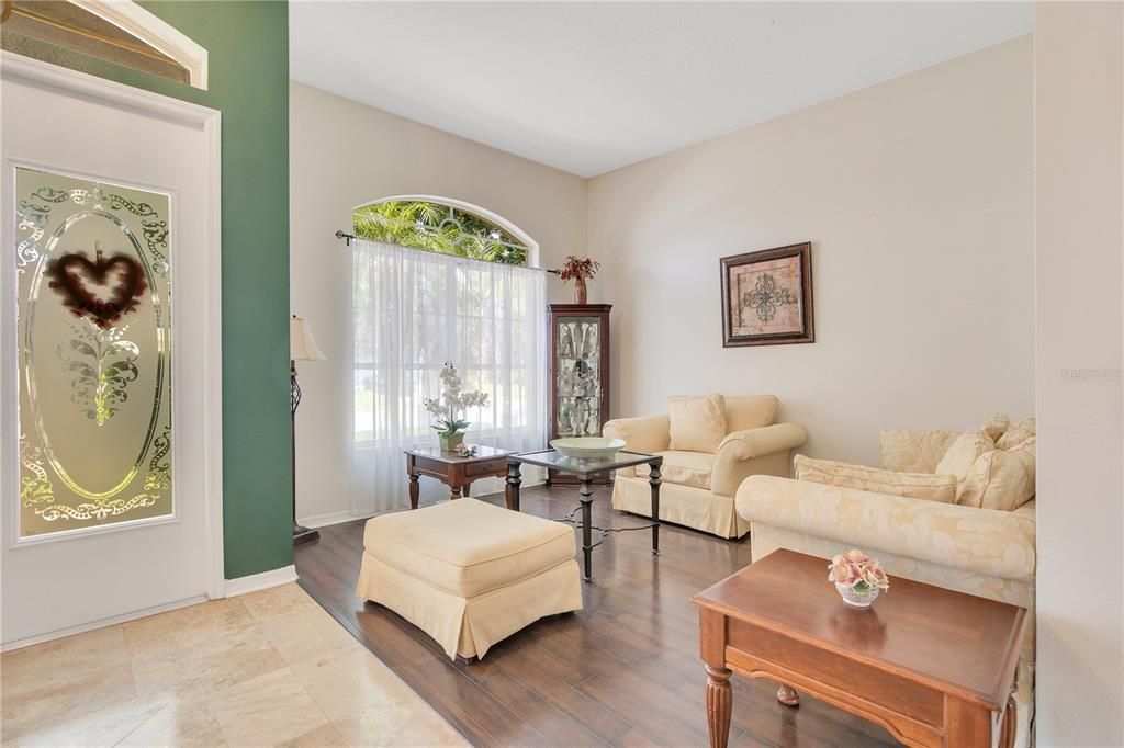 Interior, Living room, Wood Texture Flooring