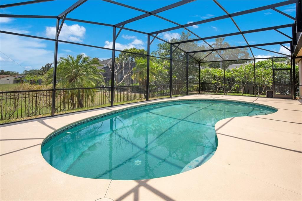 Glass Ceilings, Interior, Pool, Sun Room