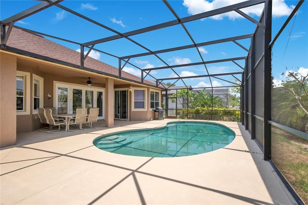 Glass Ceilings, Interior, Pool, Sun Room