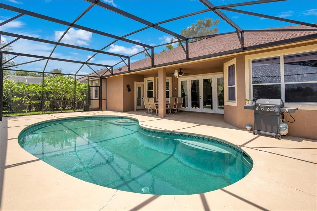 Glass Ceilings, Interior, Pool, Sun Room