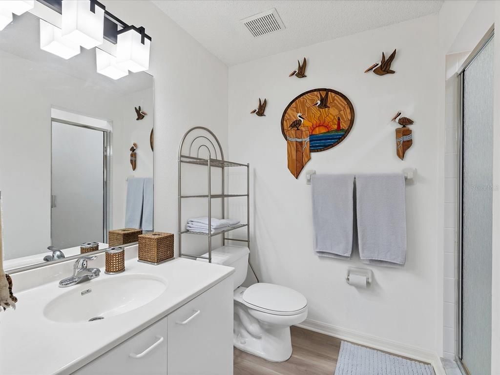 Bathroom, Interior, Wood Texture Flooring