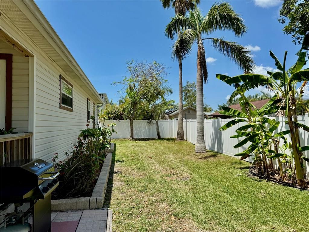 Backyard, Exterior